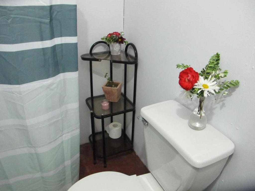 Habitaciones Centro Pucón Εξωτερικό φωτογραφία